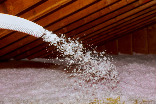 Best DIY Insulation Kits and Guidance in Baltimore, MD